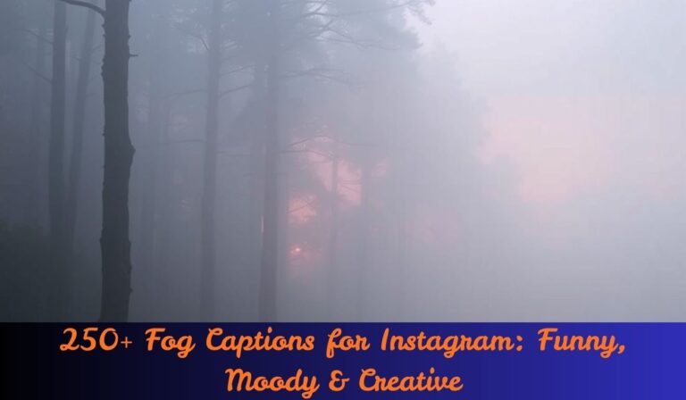 250+ Fog Captions for Instagram Funny, Moody & Creative