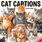 350-best-cat-captions-for-instagram-reels-and-photos-2026